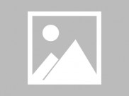 糖心logo入口在线观看（糖心logo入口在线观看）